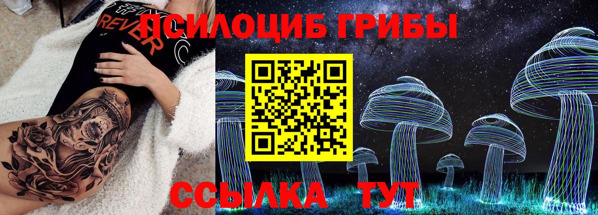 Псилоцибиновые грибы мицелий Новотроицк